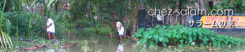 chez-salam-kerala1.jpg