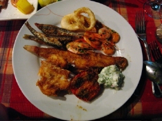 IMG_2553.jpg